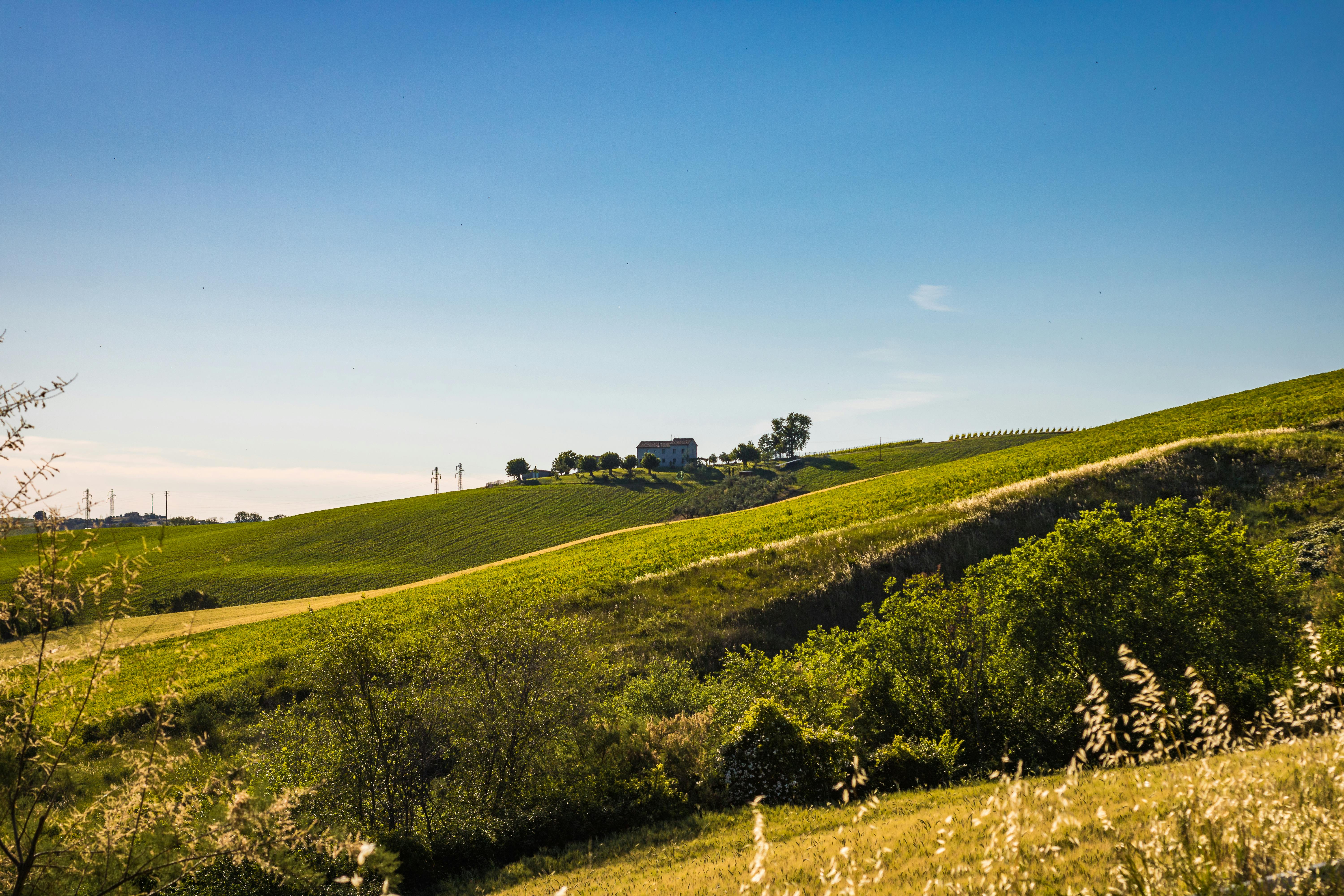 pexels-sstoppo-4492552